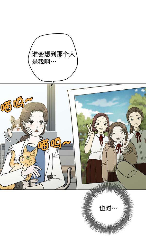 种植部神秘日志韩漫全集-[第33话] 洒满芝麻的浪漫故事（3）无删减无遮挡章节图片 
