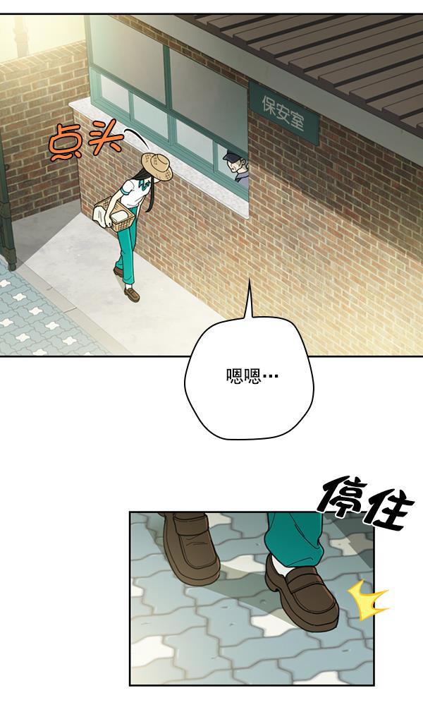 种植部神秘日志韩漫全集-[第35话] 有人能救救生菜吗（2）无删减无遮挡章节图片 