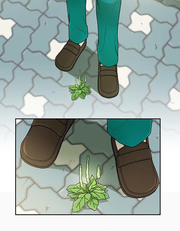 种植部神秘日志韩漫全集-[第36话] 有人能救救生菜吗（3）无删减无遮挡章节图片 