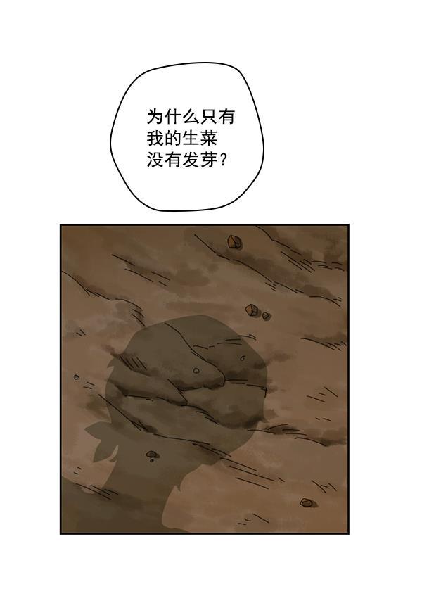 种植部神秘日志韩漫全集-[第36话] 有人能救救生菜吗（3）无删减无遮挡章节图片 