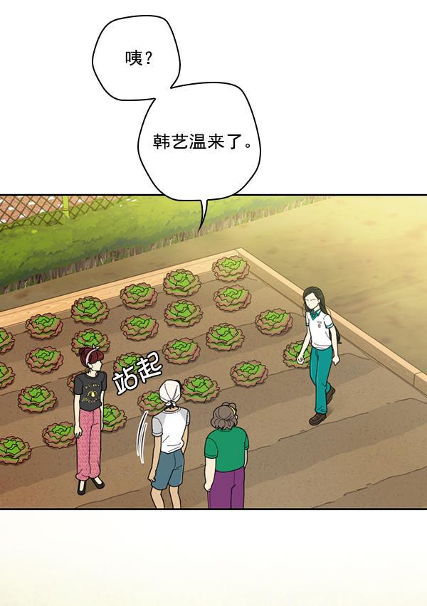 种植部神秘日志韩漫全集-[第36话] 有人能救救生菜吗（3）无删减无遮挡章节图片 