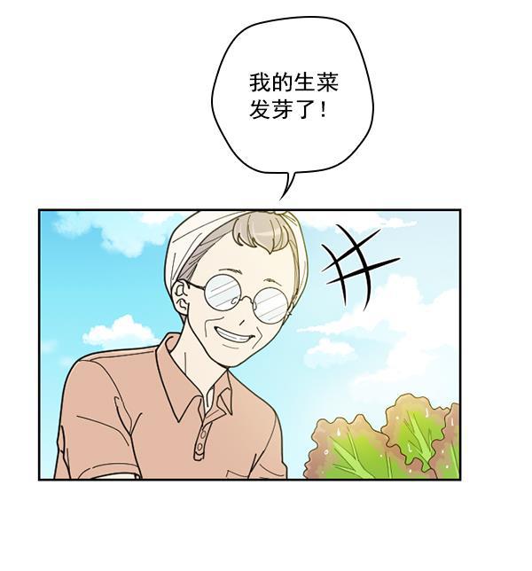 种植部神秘日志韩漫全集-[第36话] 有人能救救生菜吗（3）无删减无遮挡章节图片 