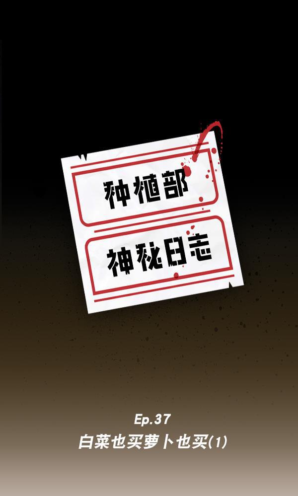 种植部神秘日志韩漫全集-[第37话] 白菜也买萝卜也买（1）无删减无遮挡章节图片 