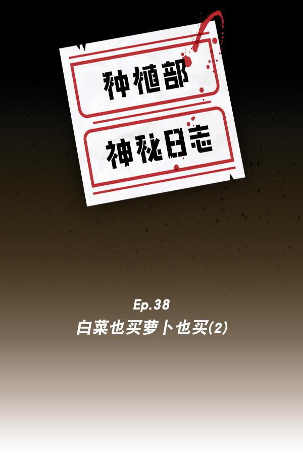 种植部神秘日志韩漫全集-[第38话] 白菜也买萝卜也买（2）无删减无遮挡章节图片 
