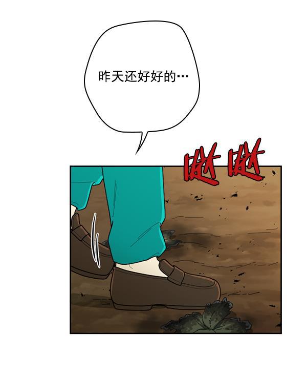 种植部神秘日志韩漫全集-[第40话] 非常孤独的少年（1）无删减无遮挡章节图片 