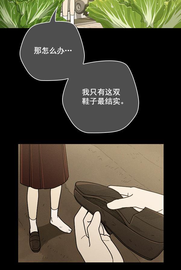 种植部神秘日志韩漫全集-[第41话] 非常孤独的少年（2）无删减无遮挡章节图片 