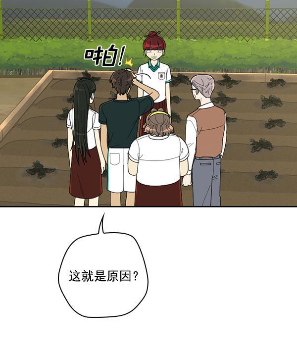 种植部神秘日志韩漫全集-[第41话] 非常孤独的少年（2）无删减无遮挡章节图片 