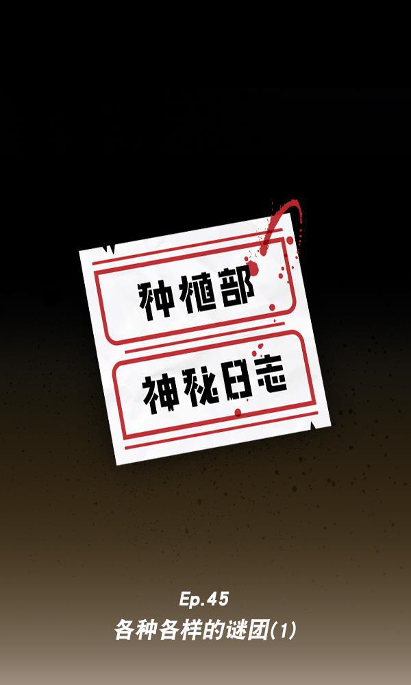 种植部神秘日志韩漫全集-[第45话] 各种各样的谜团（1）无删减无遮挡章节图片 