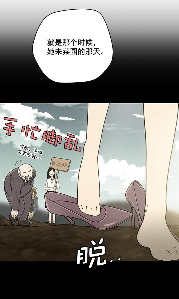 种植部神秘日志韩漫全集-[第45话] 各种各样的谜团（1）无删减无遮挡章节图片 