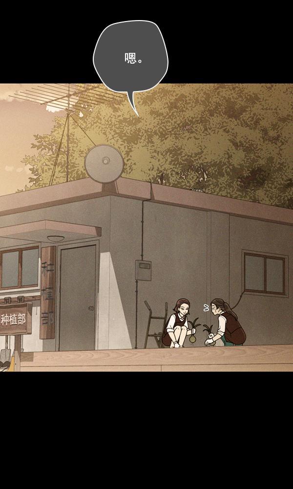 种植部神秘日志韩漫全集-[第48话] 一层又一层洋葱皮般的反转（2）无删减无遮挡章节图片 