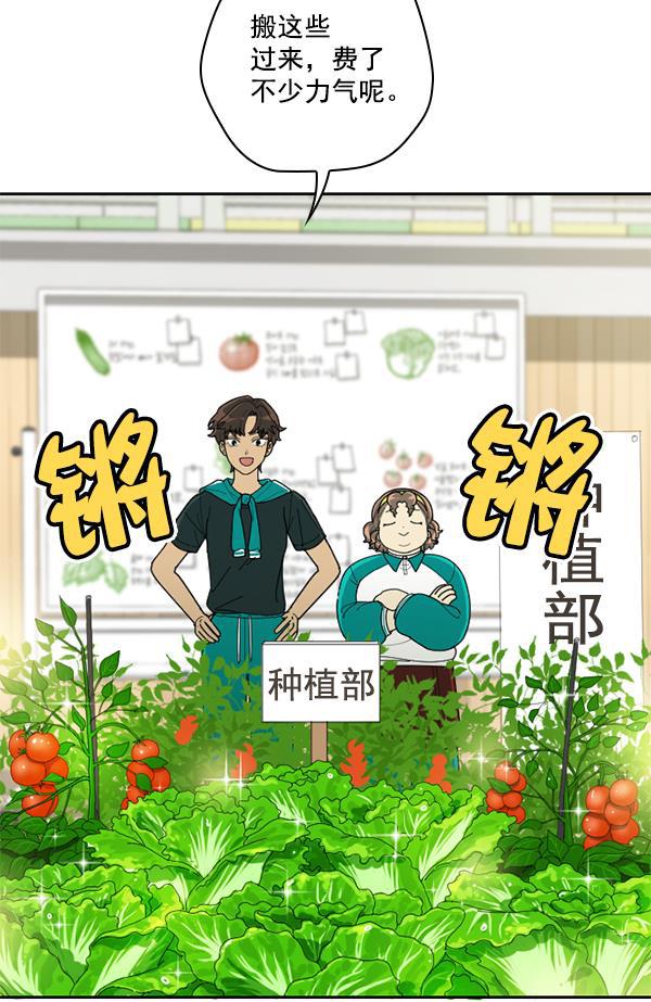 种植部神秘日志韩漫全集-[第51话] 地瓜来了无删减无遮挡章节图片 