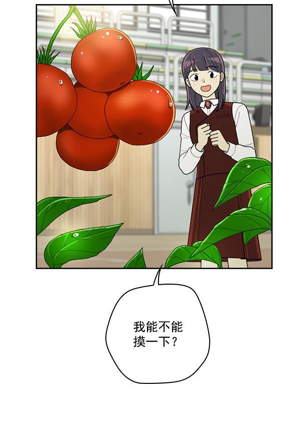 种植部神秘日志韩漫全集-[第51话] 地瓜来了无删减无遮挡章节图片 
