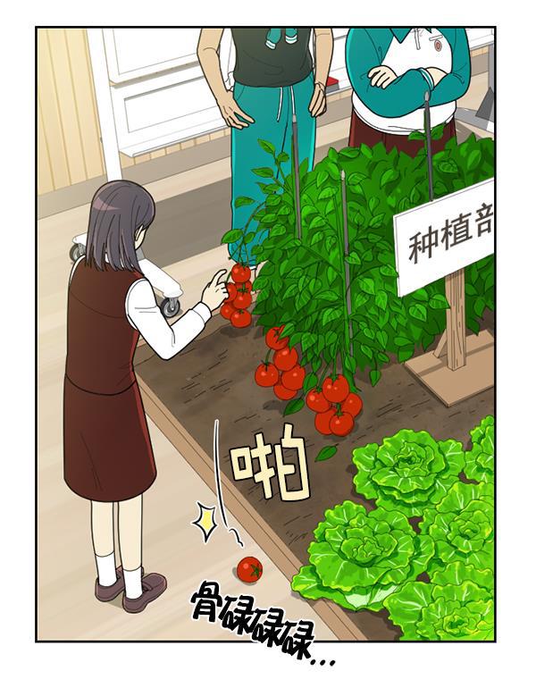 种植部神秘日志韩漫全集-[第51话] 地瓜来了无删减无遮挡章节图片 