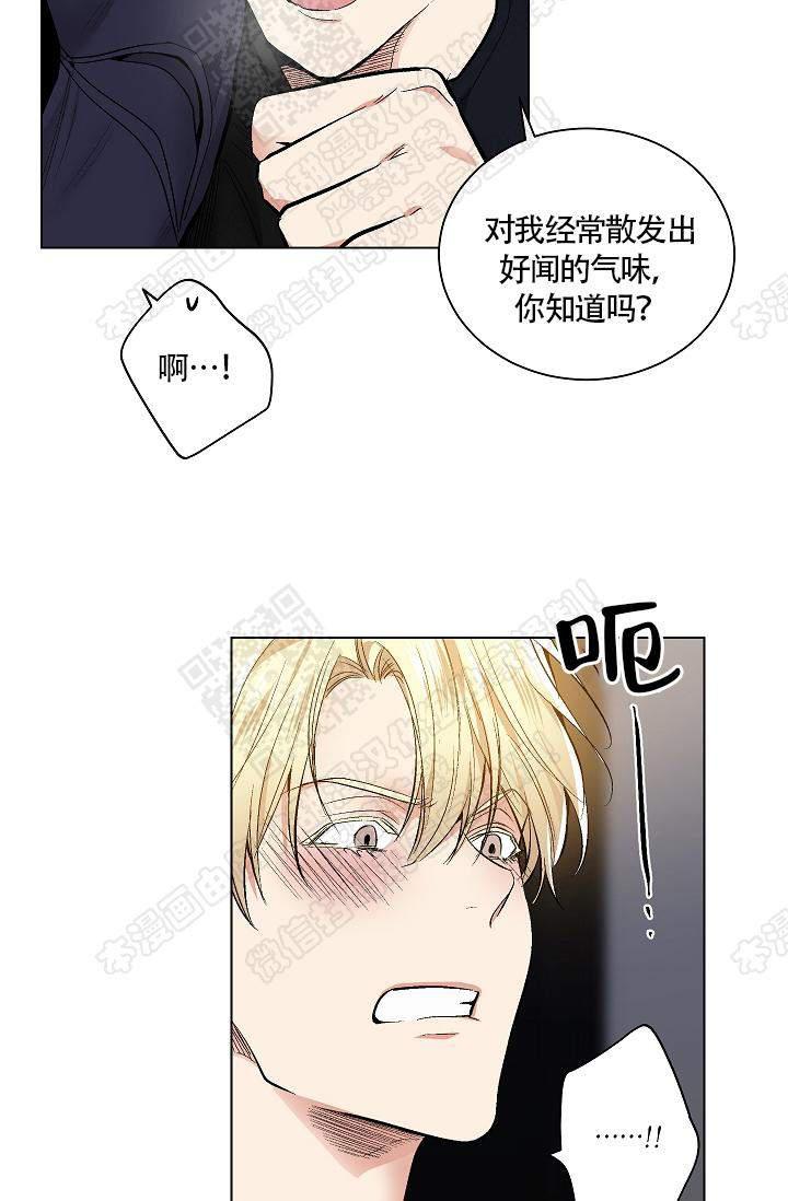 封神演义漫画韩漫全集-第48话无删减无遮挡章节图片 