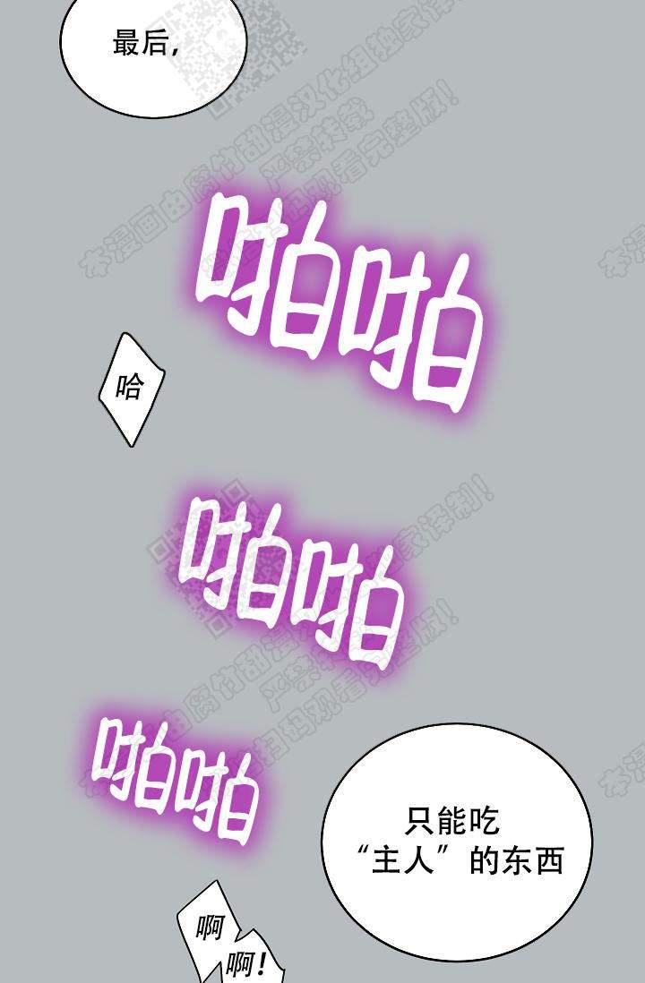 封神演义漫画韩漫全集-第62话无删减无遮挡章节图片 
