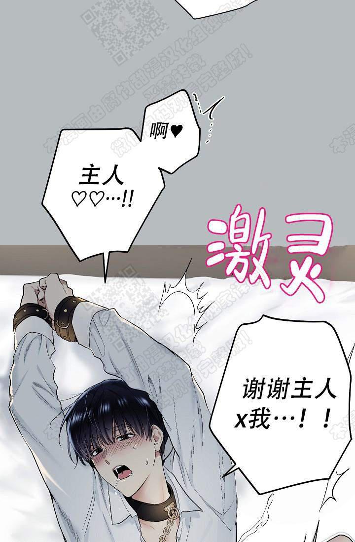 封神演义漫画韩漫全集-第62话无删减无遮挡章节图片 