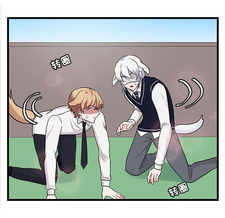 恋爱禁止的世界漫画韩漫全集-第19话无删减无遮挡章节图片 