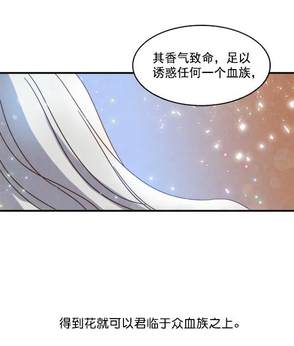 流星花园漫画韩漫全集-第33话无删减无遮挡章节图片 