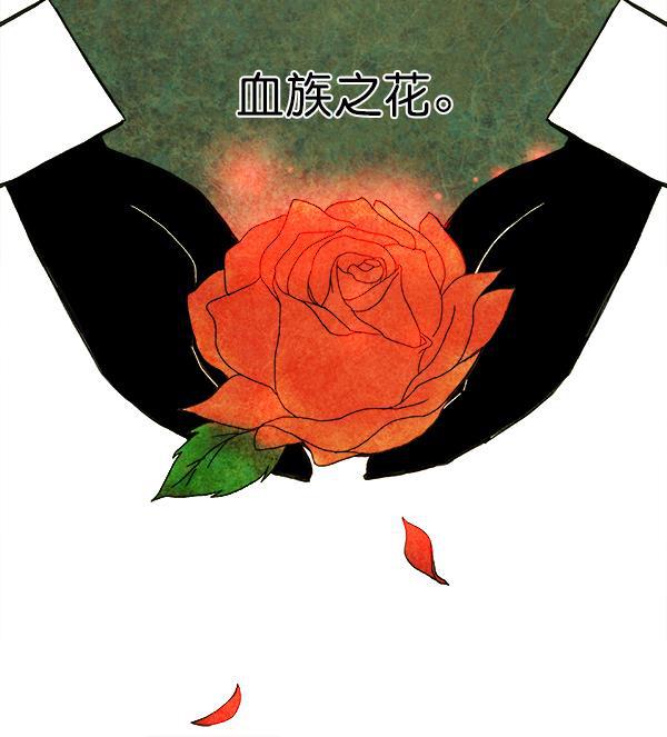 流星花园漫画韩漫全集-序言无删减无遮挡章节图片 
