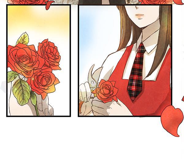 流星花园漫画韩漫全集-第1话无删减无遮挡章节图片 