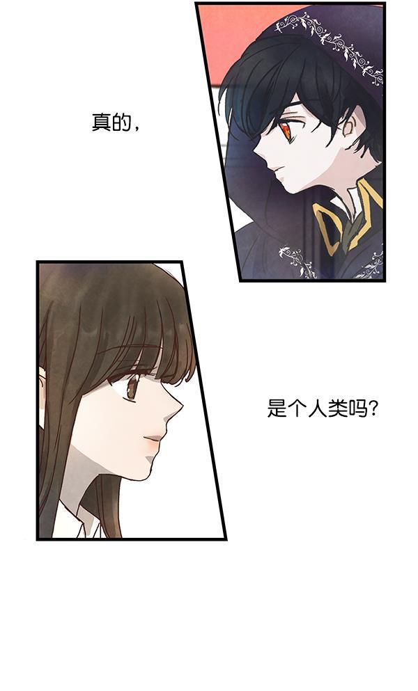 流星花园漫画韩漫全集-第2话无删减无遮挡章节图片 