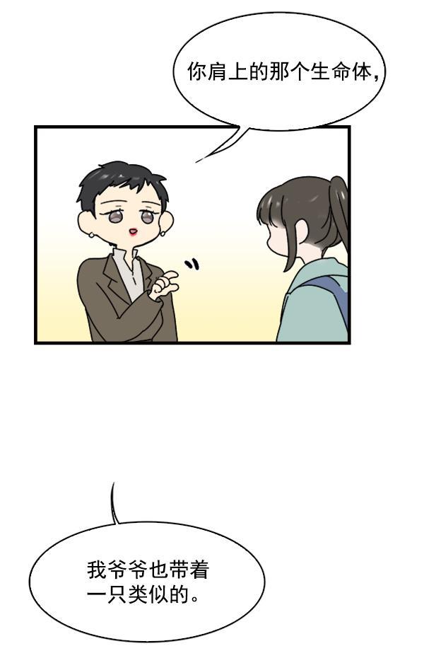 流星花园漫画韩漫全集-第8话无删减无遮挡章节图片 