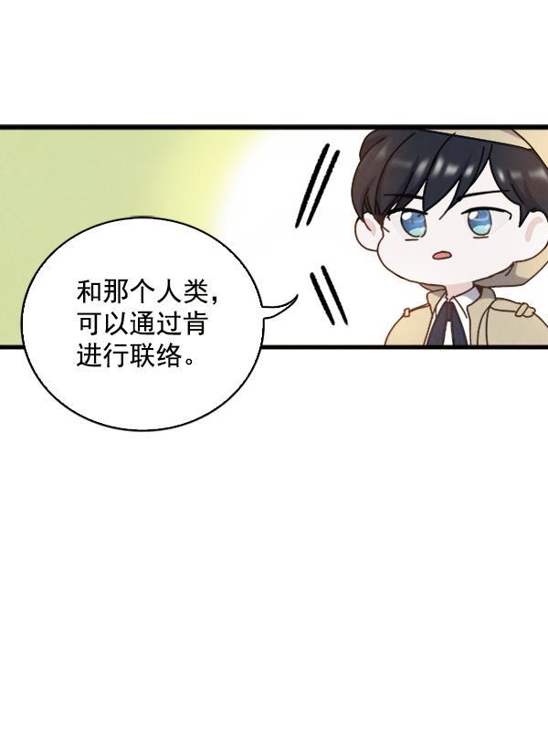流星花园漫画韩漫全集-第9话无删减无遮挡章节图片 
