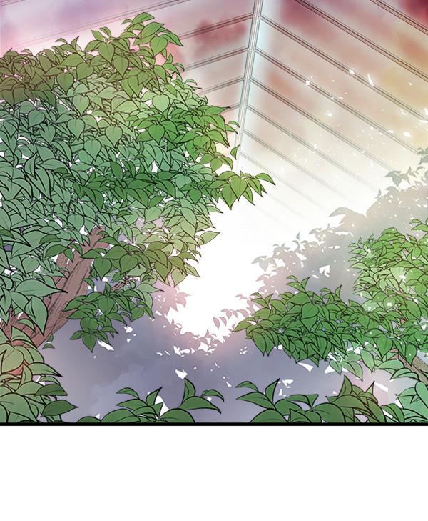 流星花园漫画韩漫全集-第9话无删减无遮挡章节图片 