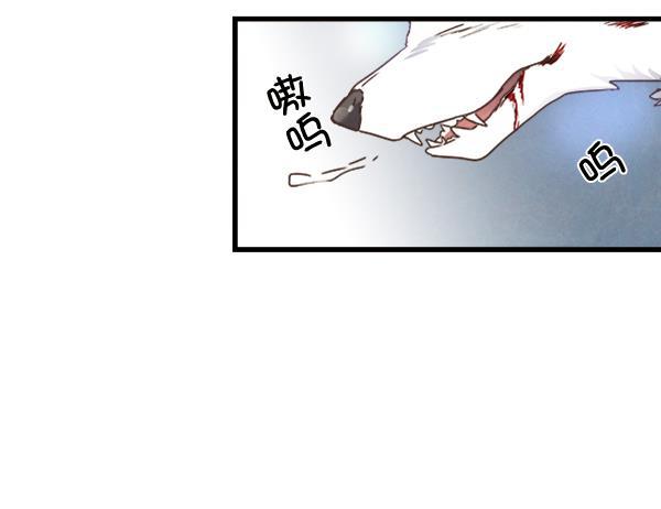 流星花园漫画韩漫全集-第9话无删减无遮挡章节图片 