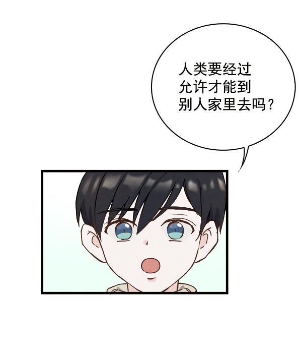 流星花园漫画韩漫全集-第12话无删减无遮挡章节图片 