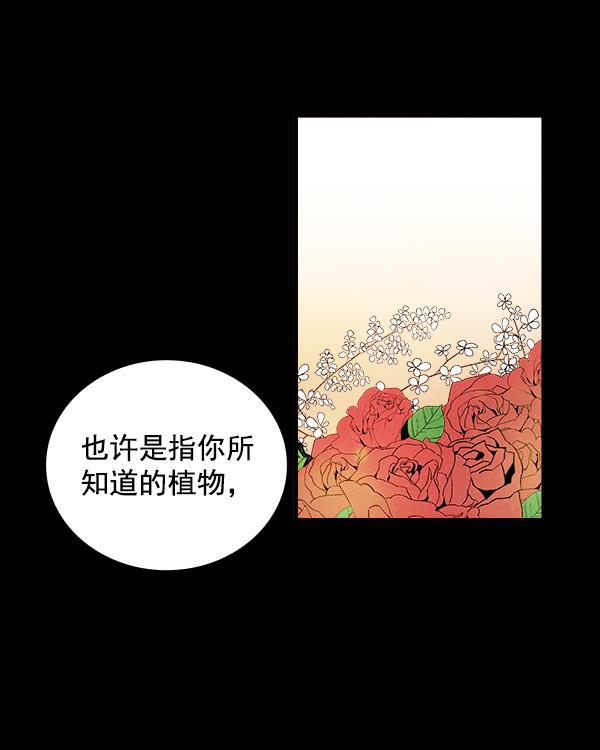 流星花园漫画韩漫全集-第14话无删减无遮挡章节图片 