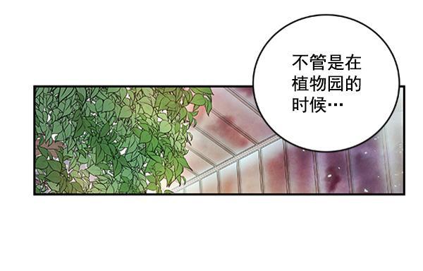 流星花园漫画韩漫全集-第17话无删减无遮挡章节图片 