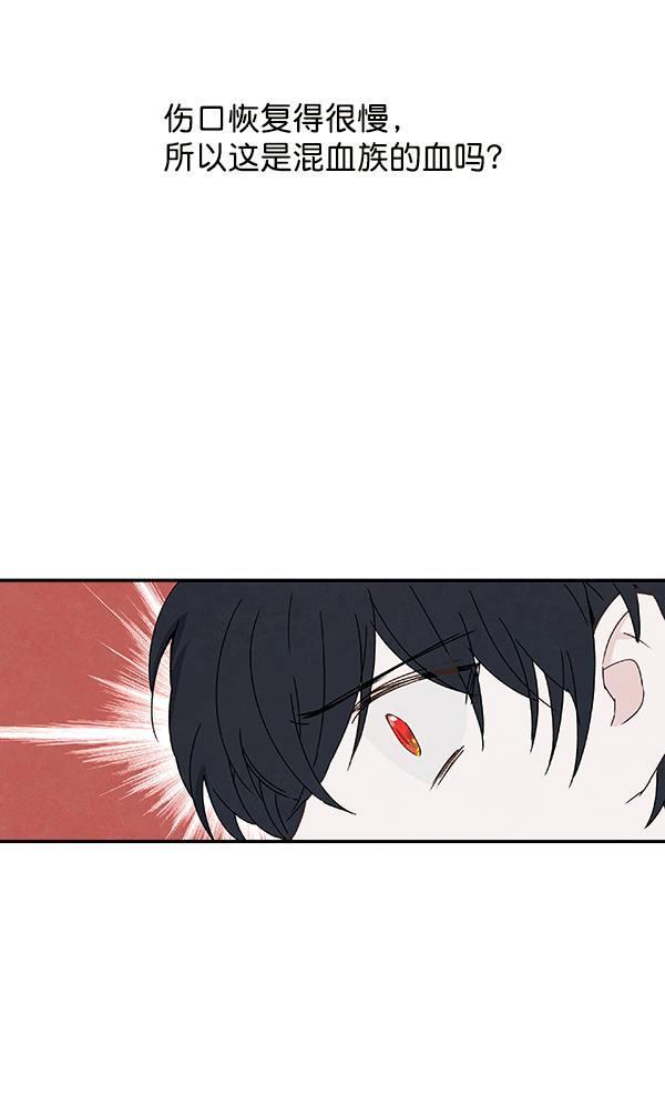 流星花园漫画韩漫全集-第20话无删减无遮挡章节图片 