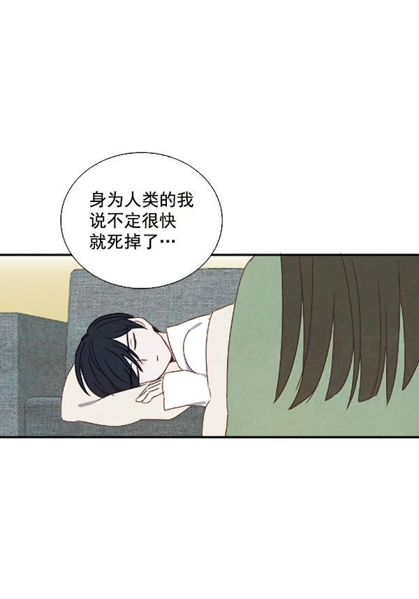 流星花园漫画韩漫全集-第22话无删减无遮挡章节图片 