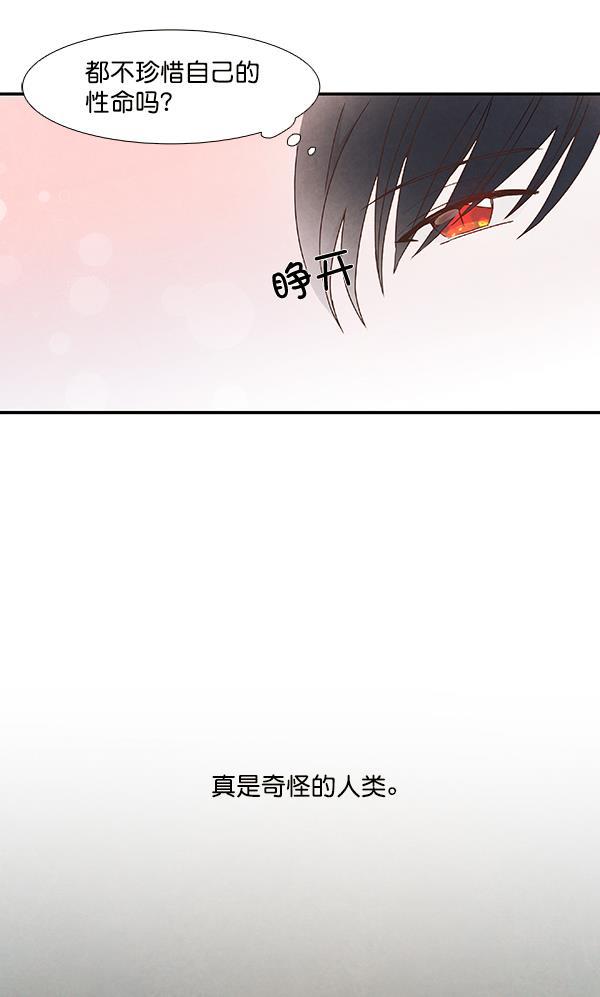 流星花园漫画韩漫全集-第23话无删减无遮挡章节图片 