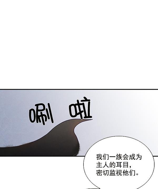 流星花园漫画韩漫全集-第25话无删减无遮挡章节图片 