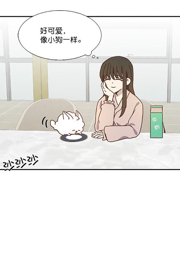 流星花园漫画韩漫全集-第27话无删减无遮挡章节图片 
