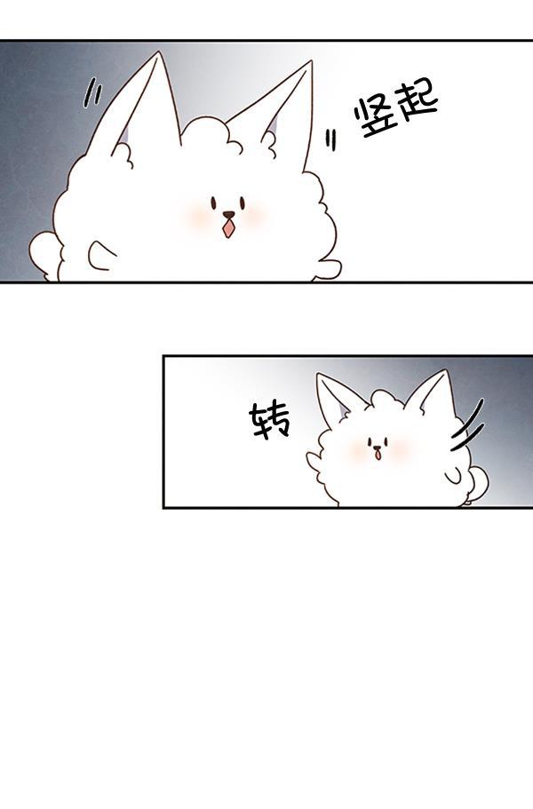 流星花园漫画韩漫全集-第27话无删减无遮挡章节图片 