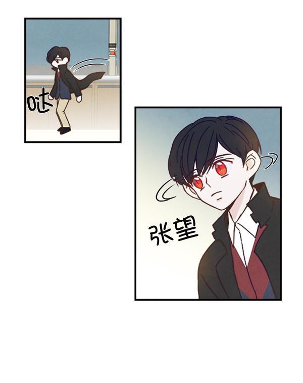 流星花园漫画韩漫全集-第31话无删减无遮挡章节图片 