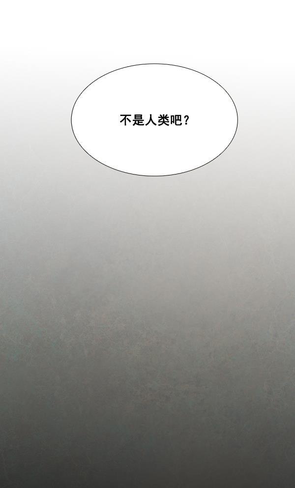 流星花园漫画韩漫全集-第36话无删减无遮挡章节图片 