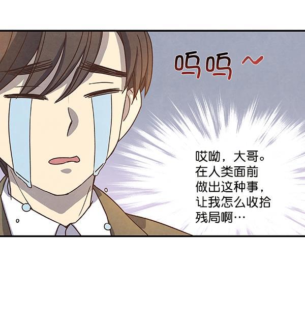 流星花园漫画韩漫全集-第36话无删减无遮挡章节图片 