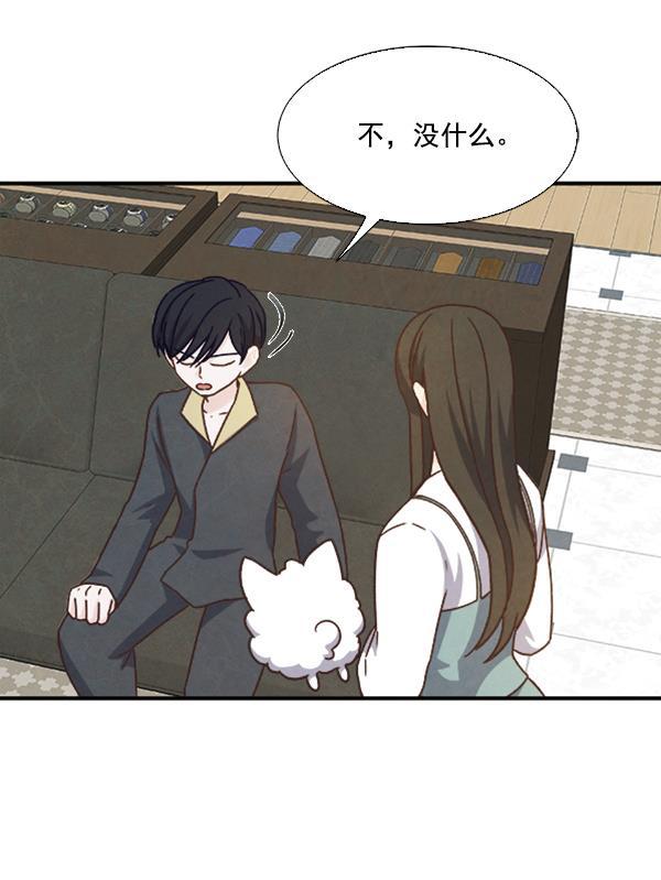 流星花园漫画韩漫全集-第37话无删减无遮挡章节图片 