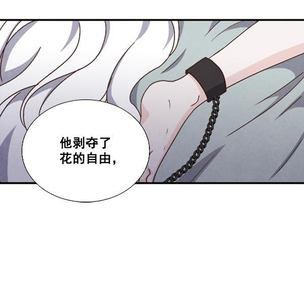 流星花园漫画韩漫全集-第38话无删减无遮挡章节图片 