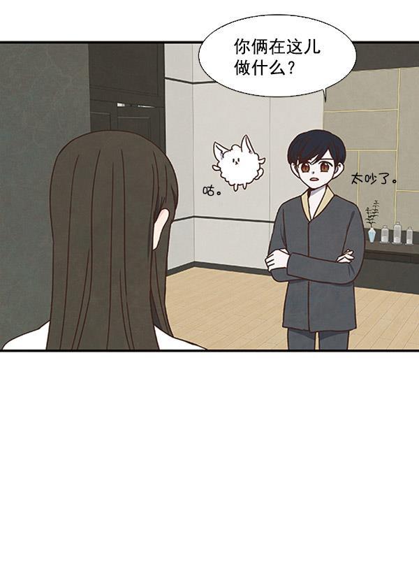 流星花园漫画韩漫全集-第39话无删减无遮挡章节图片 