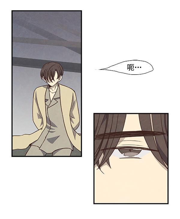 流星花园漫画韩漫全集-第40话无删减无遮挡章节图片 