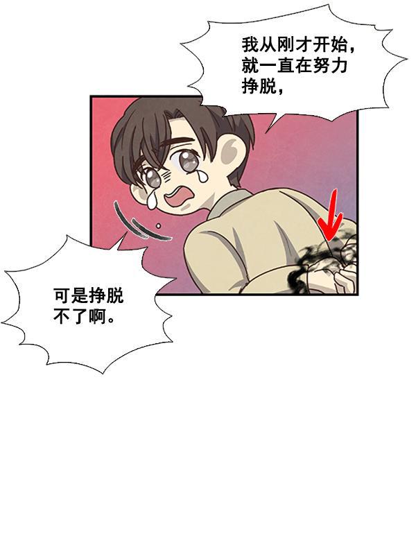 流星花园漫画韩漫全集-第41话无删减无遮挡章节图片 