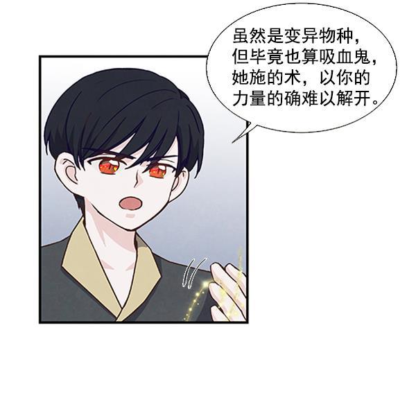 流星花园漫画韩漫全集-第41话无删减无遮挡章节图片 