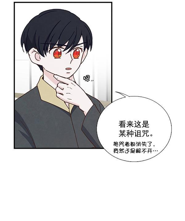 流星花园漫画韩漫全集-第41话无删减无遮挡章节图片 