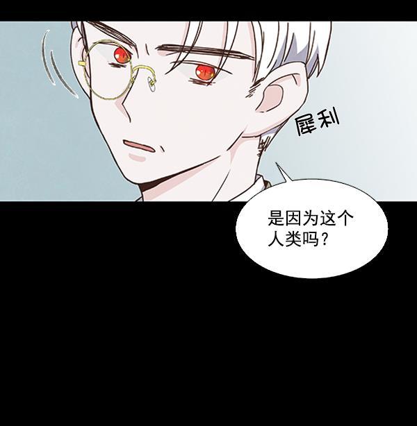 流星花园漫画韩漫全集-第42话无删减无遮挡章节图片 