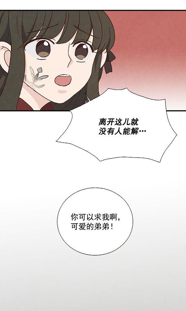 流星花园漫画韩漫全集-第44话无删减无遮挡章节图片 
